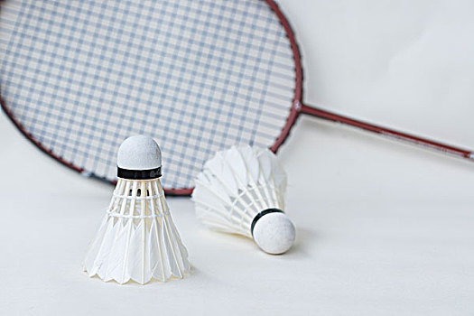 辽宁男篮团 辽宁男篮团